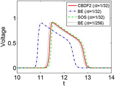 Composite Backward Differentiation Formula for the Bidomain Equations